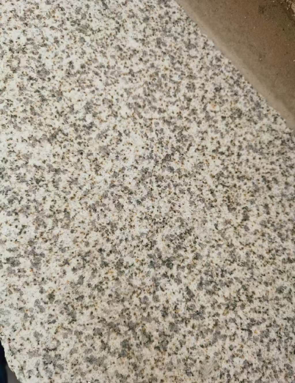 丽江 黄金麻中黄光面