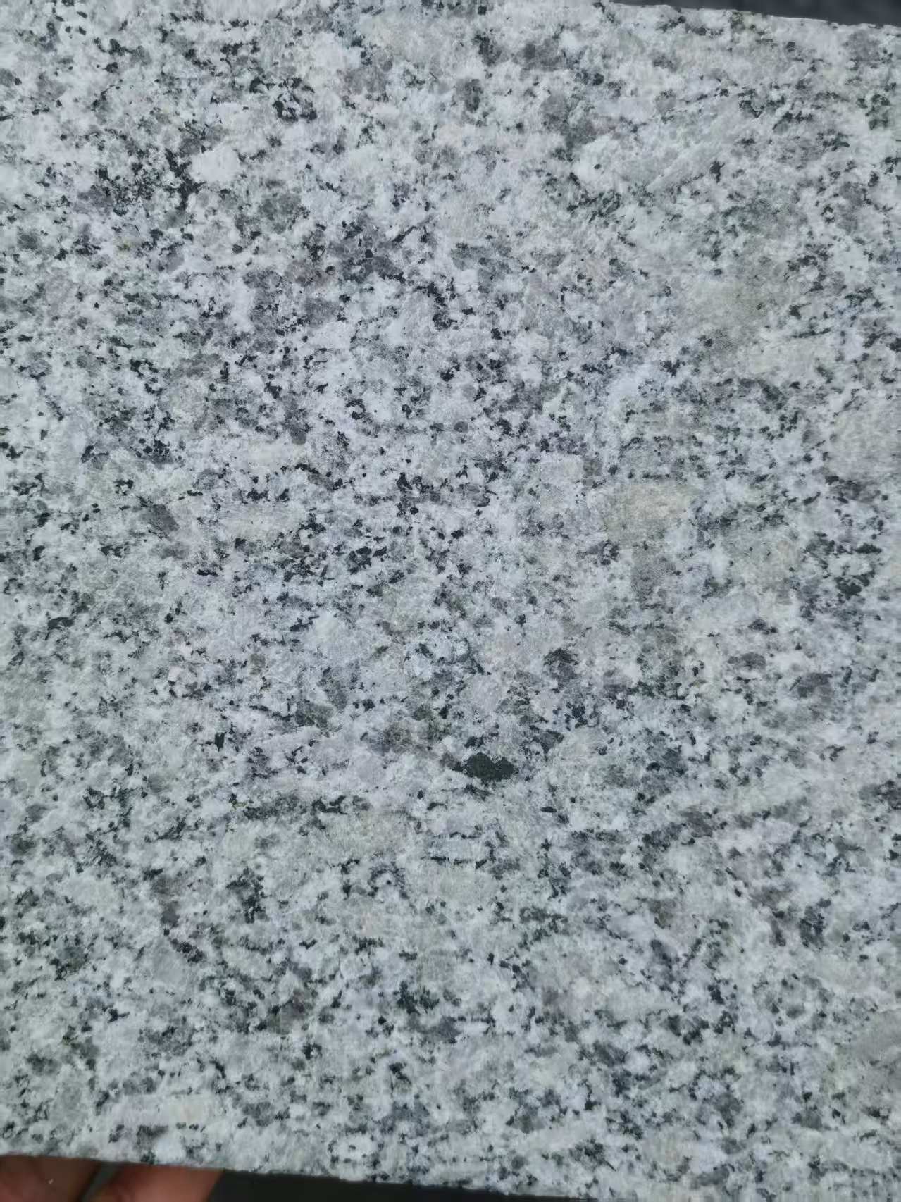 丽江 芙蓉白火烧面