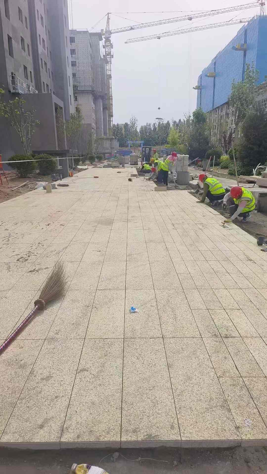 丽江黄金麻荔枝面地铺案例